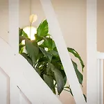 Ipso Rooftop Avec Terrasse Apartamento