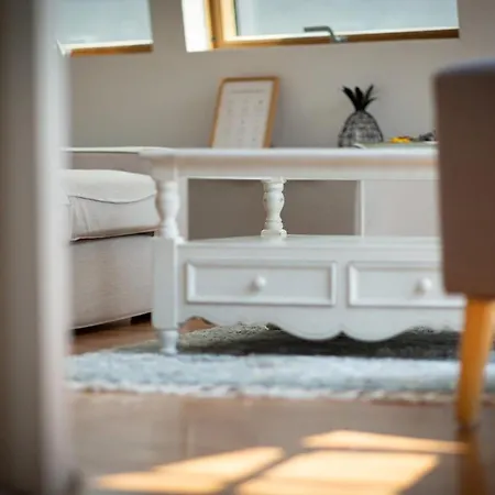 Ipso Rooftop Avec Terrasse *