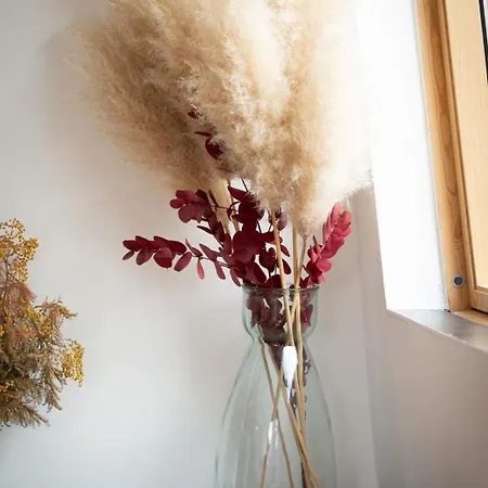 Ipso Rooftop Avec Terrasse