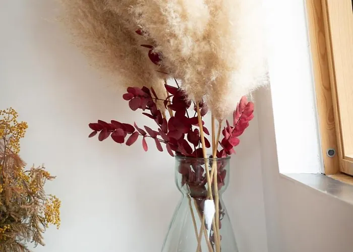 Ipso Rooftop Avec Terrasse