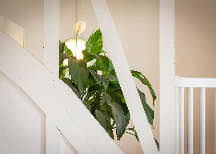 Ipso Rooftop Avec Terrasse شقة